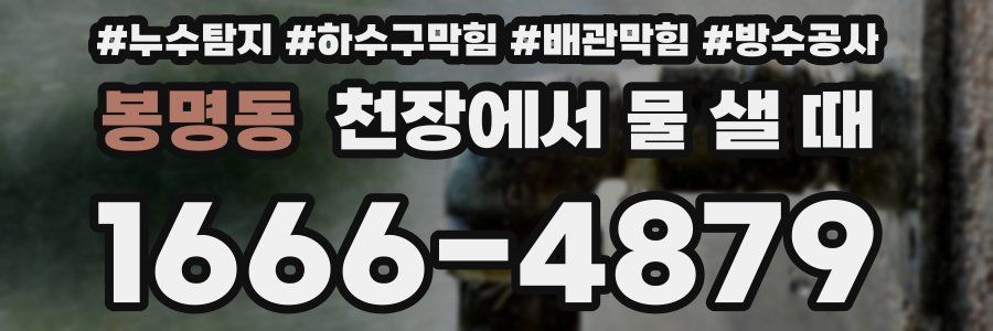 봉명동 천장에서 물 샐 때