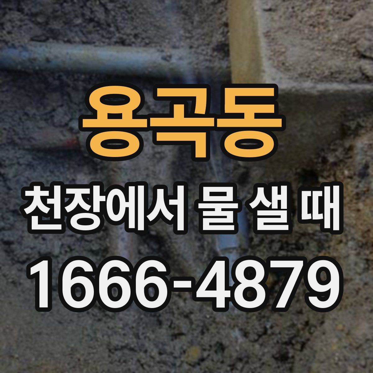 용곡동 천장에서 물 샐 때