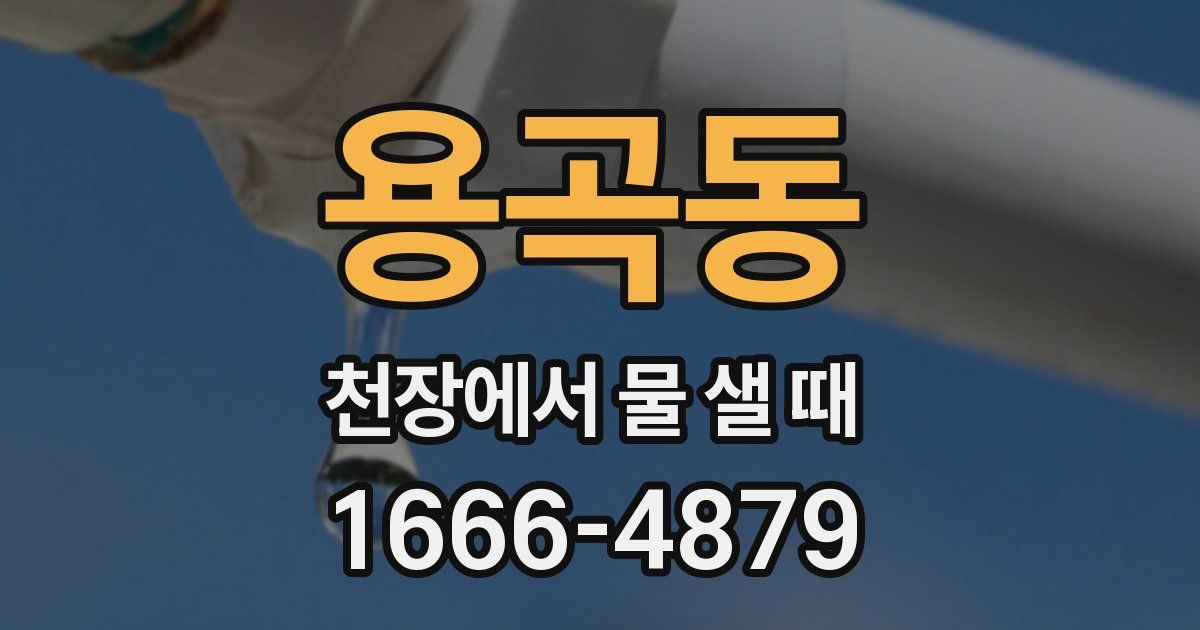 용곡동 천장에서 물 샐 때