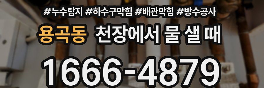 용곡동 천장에서 물 샐 때