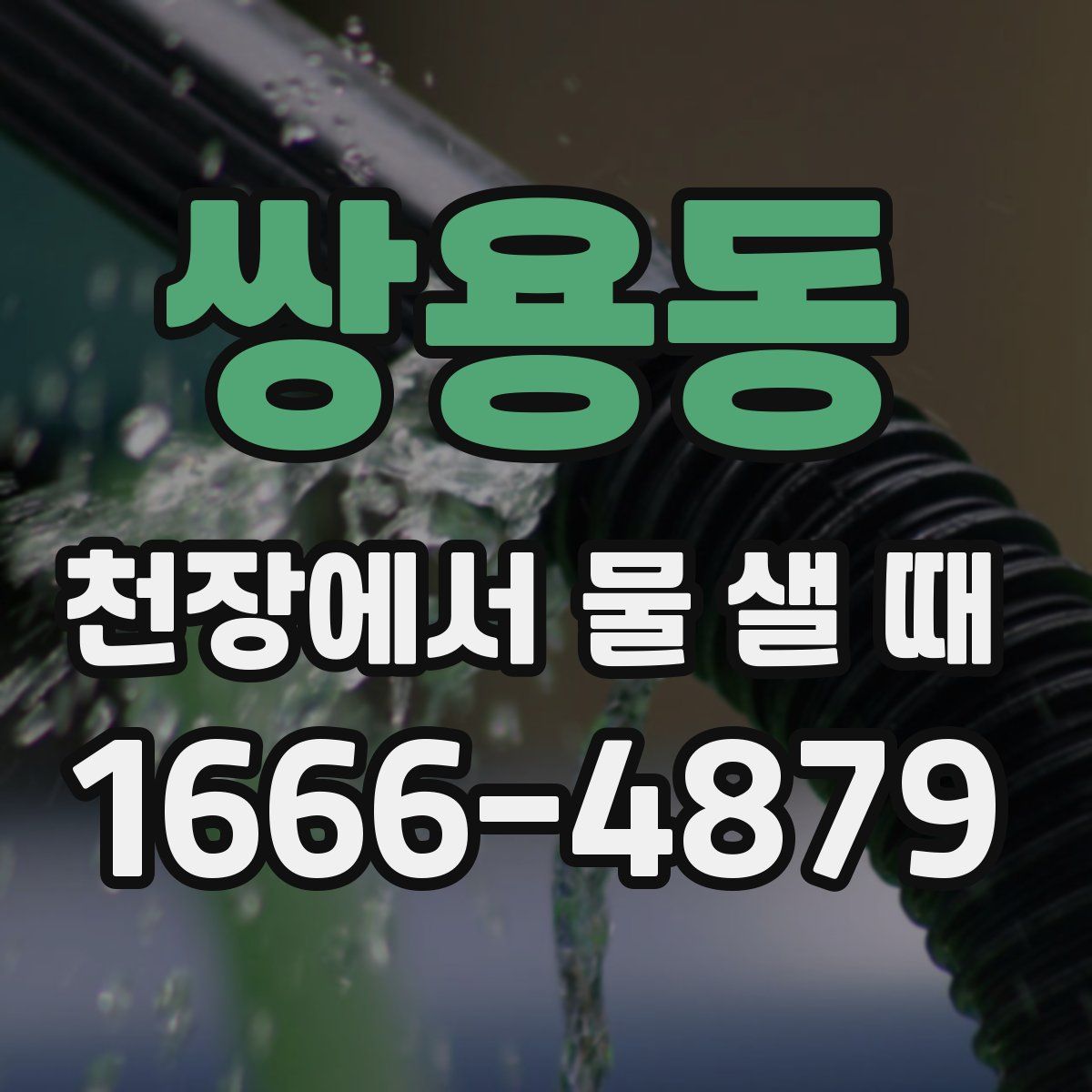 쌍용동 천장에서 물 샐 때