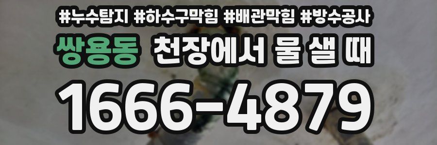 쌍용동 천장에서 물 샐 때