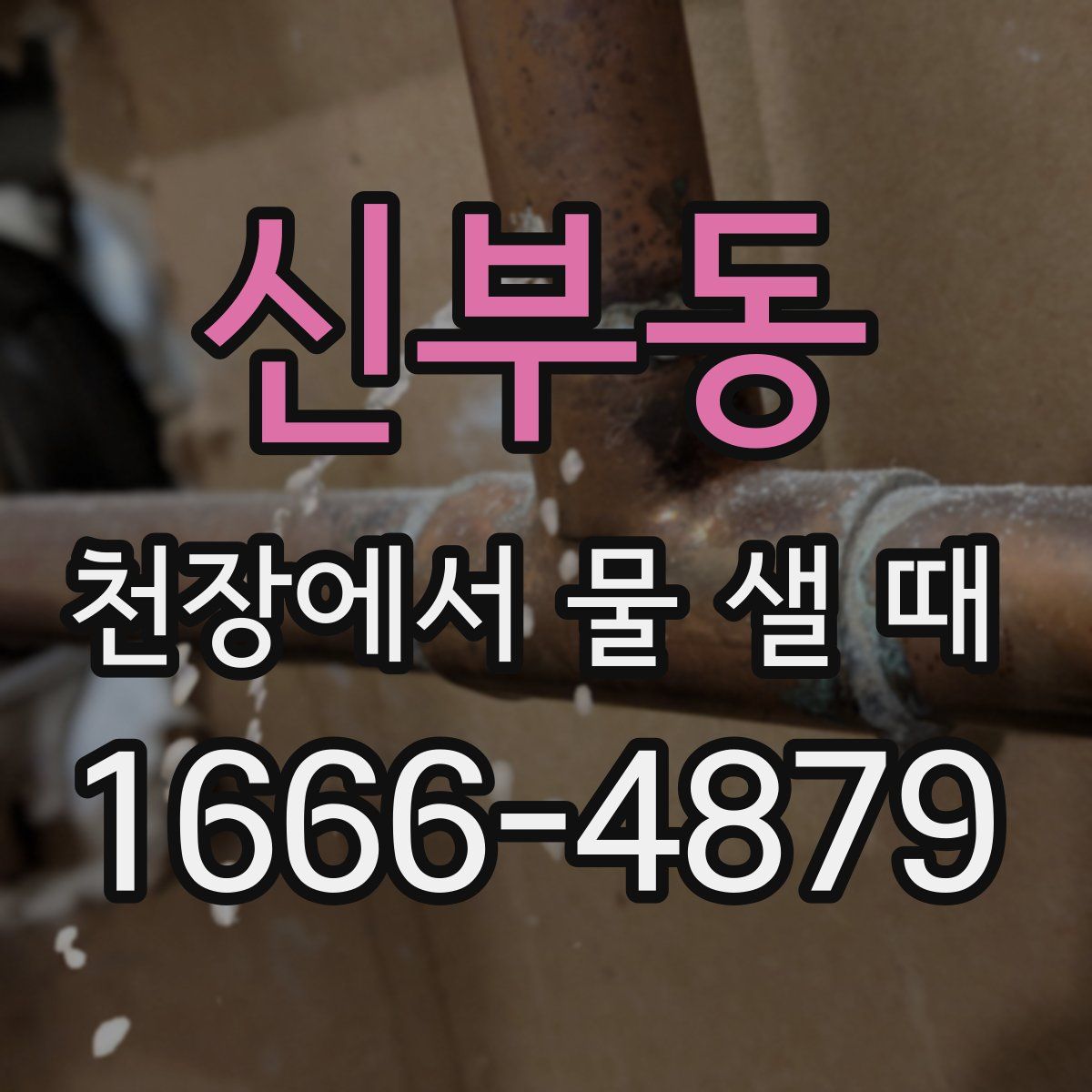 신부동 천장에서 물 샐 때