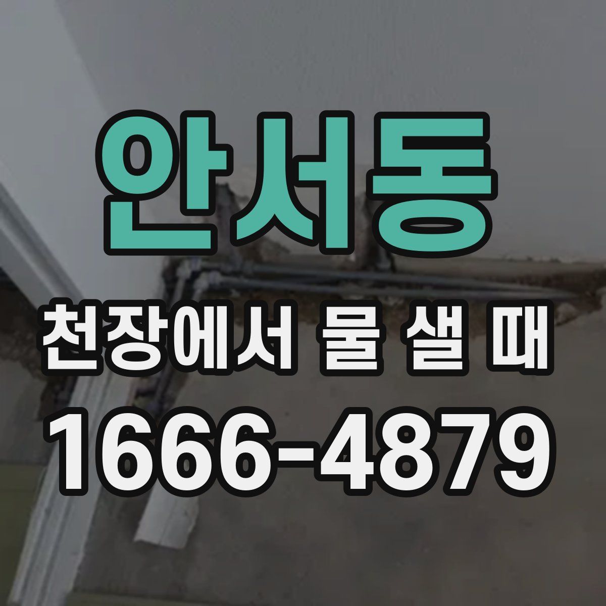 안서동 천장에서 물 샐 때