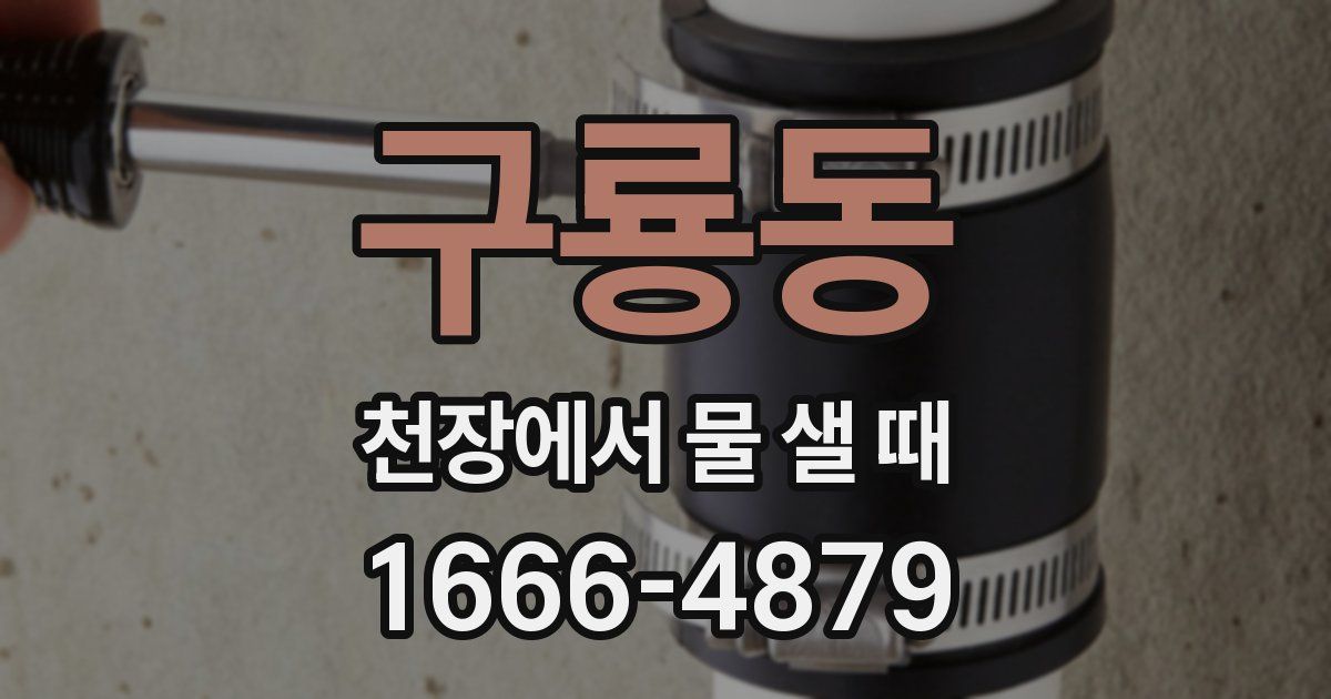 구룡동 천장에서 물 샐 때