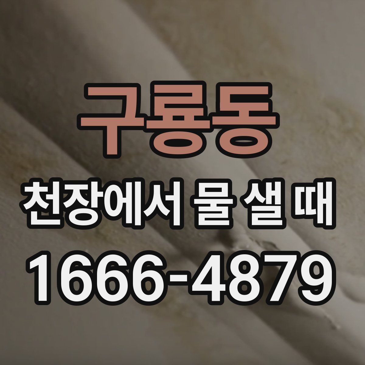 구룡동 천장에서 물 샐 때