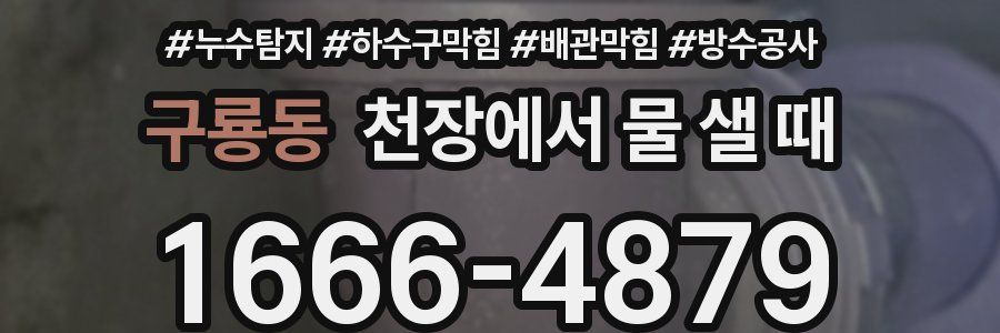구룡동 천장에서 물 샐 때