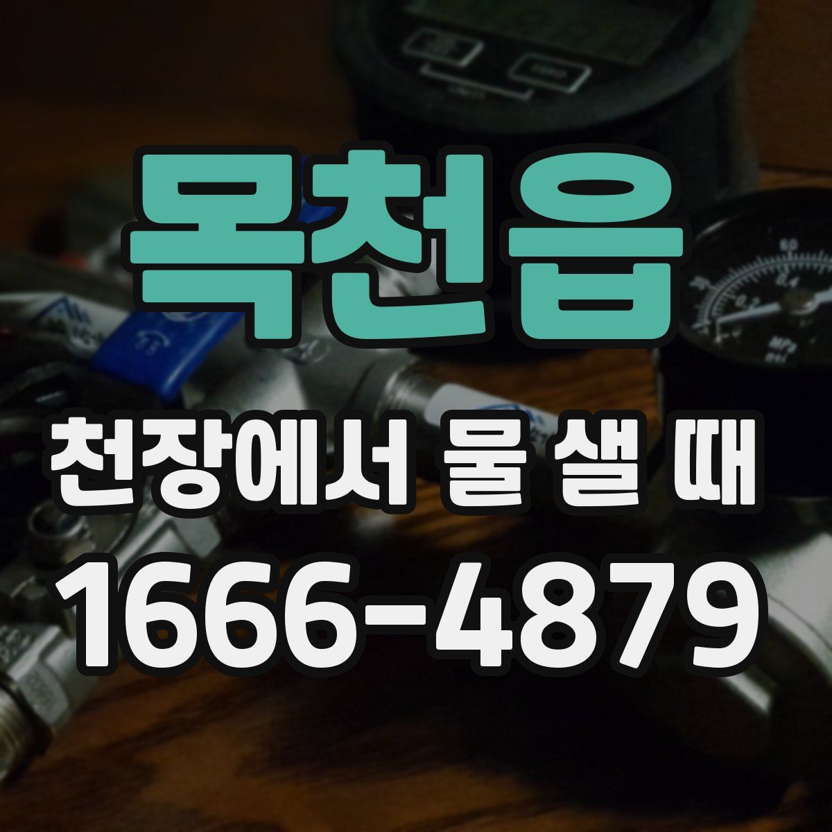 목천읍 천장에서 물 샐 때