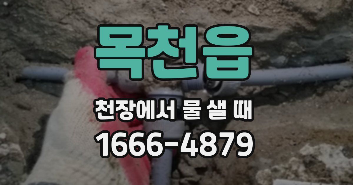 목천읍 천장에서 물 샐 때