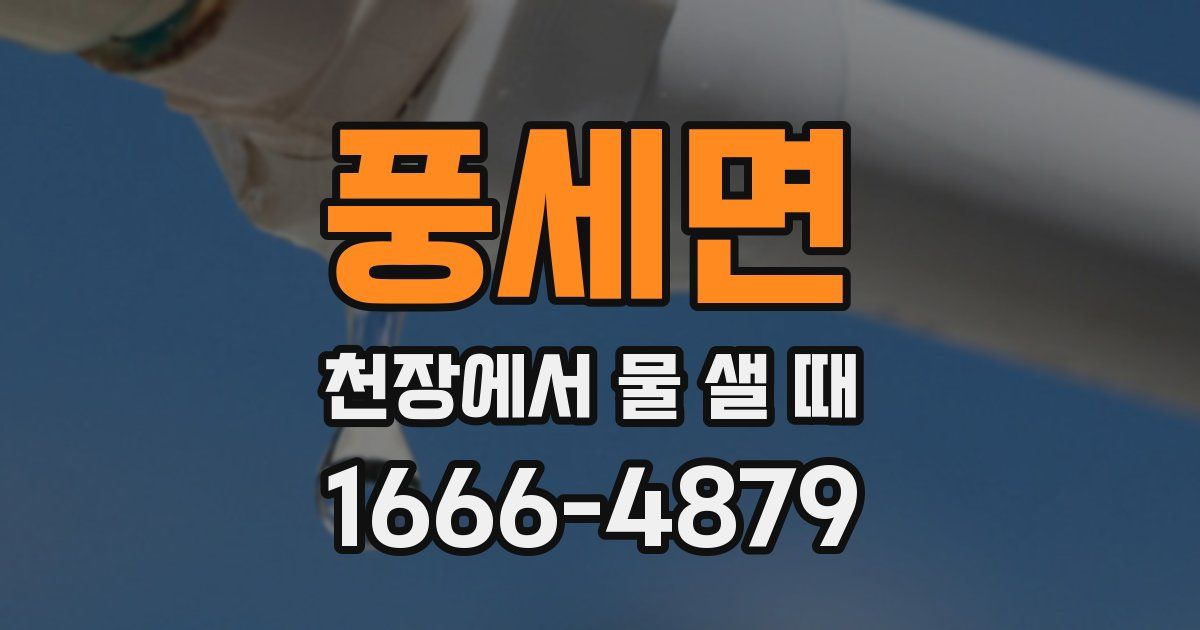 풍세면 천장에서 물 샐 때