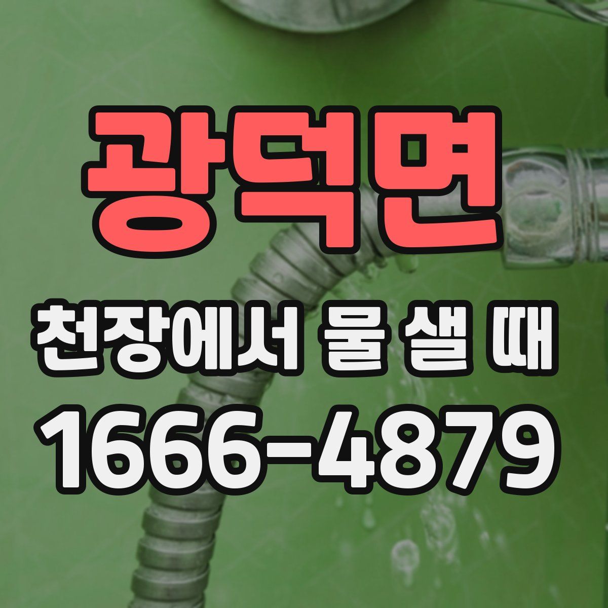광덕면 천장에서 물 샐 때