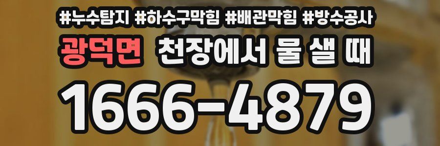 광덕면 천장에서 물 샐 때