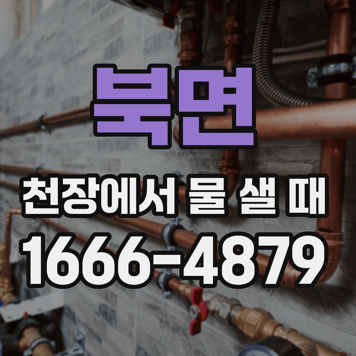 북면 천장에서 물 샐 때