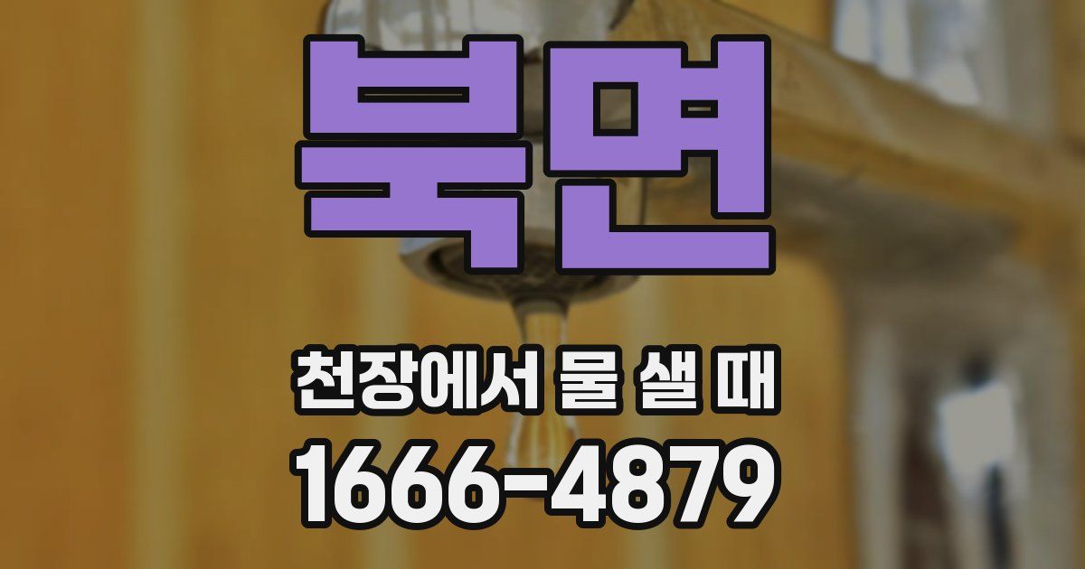 북면 천장에서 물 샐 때