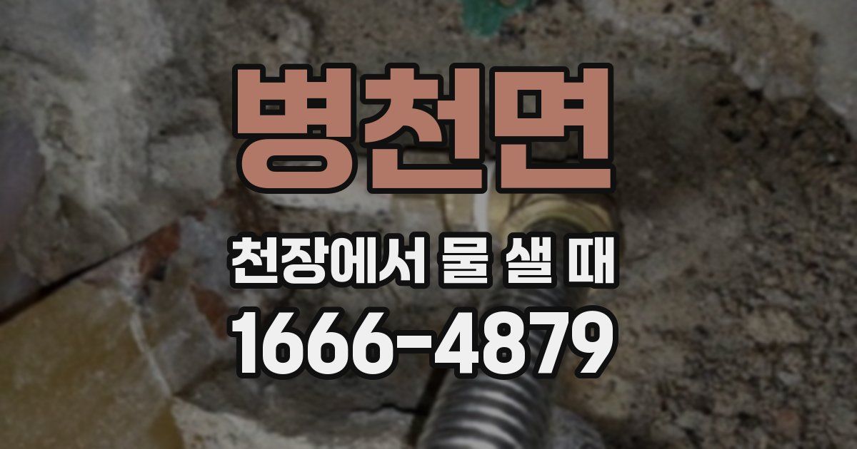 병천면 천장에서 물 샐 때