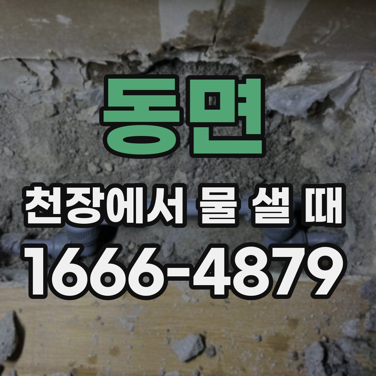 동면 천장에서 물 샐 때