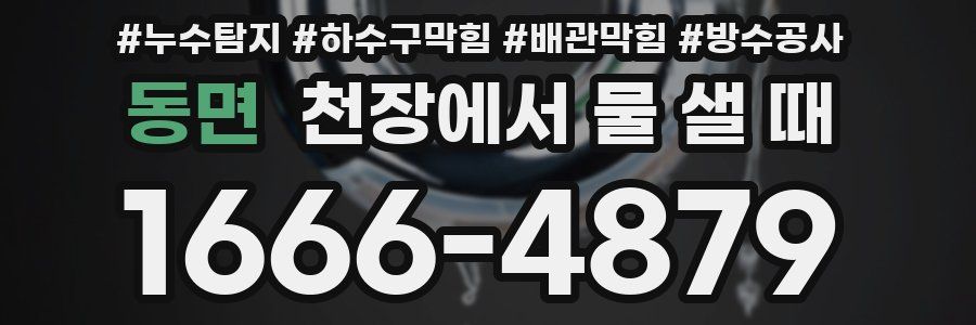 동면 천장에서 물 샐 때