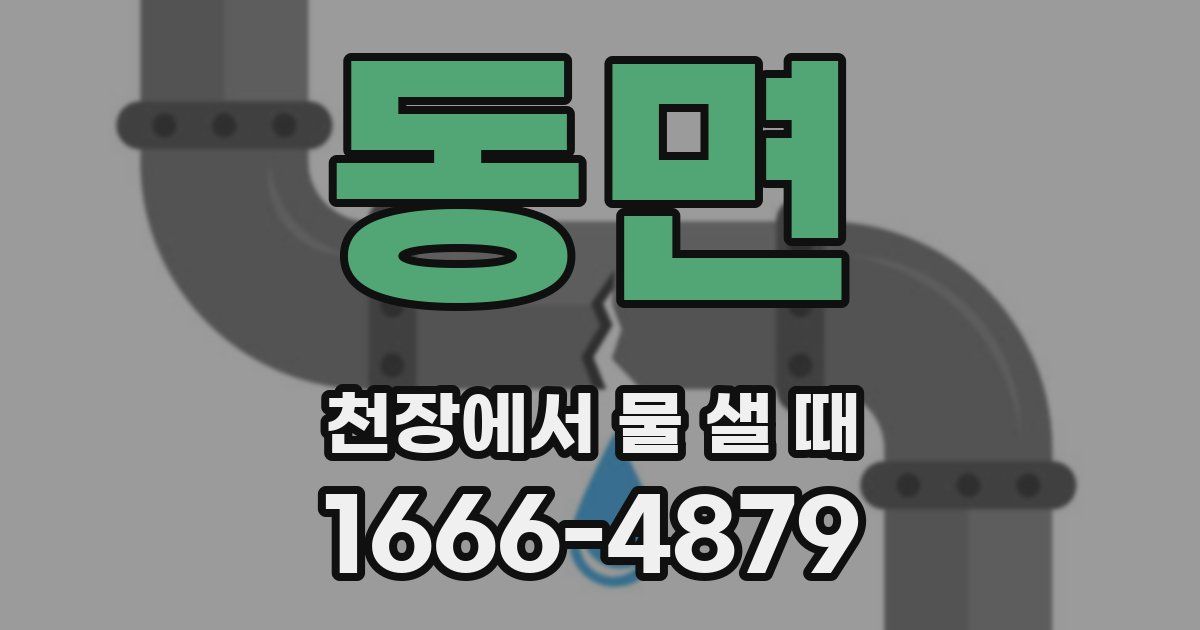 동면 천장에서 물 샐 때
