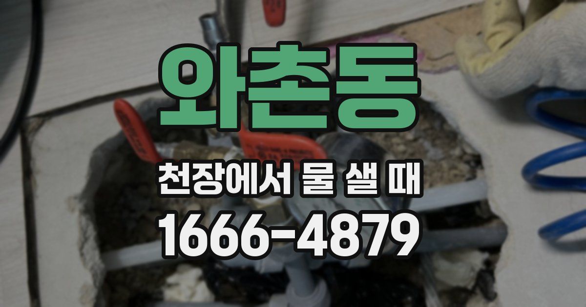 와촌동 천장에서 물 샐 때