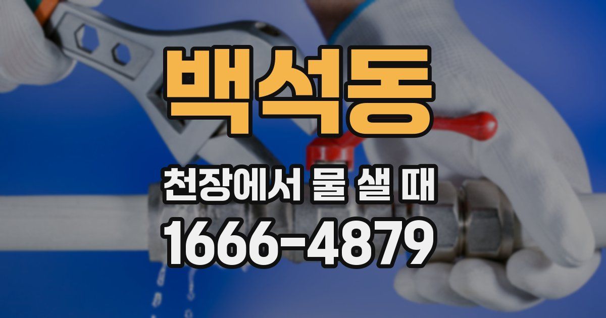 백석동 천장에서 물 샐 때