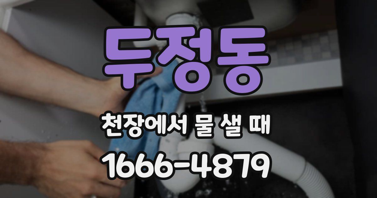 두정동 천장에서 물 샐 때