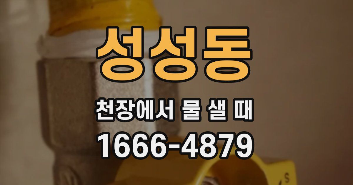 성성동 천장에서 물 샐 때