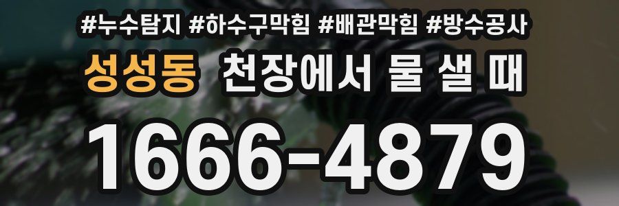성성동 천장에서 물 샐 때