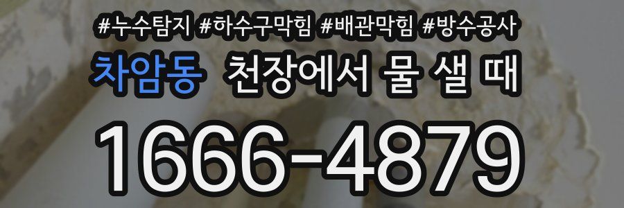 차암동 천장에서 물 샐 때