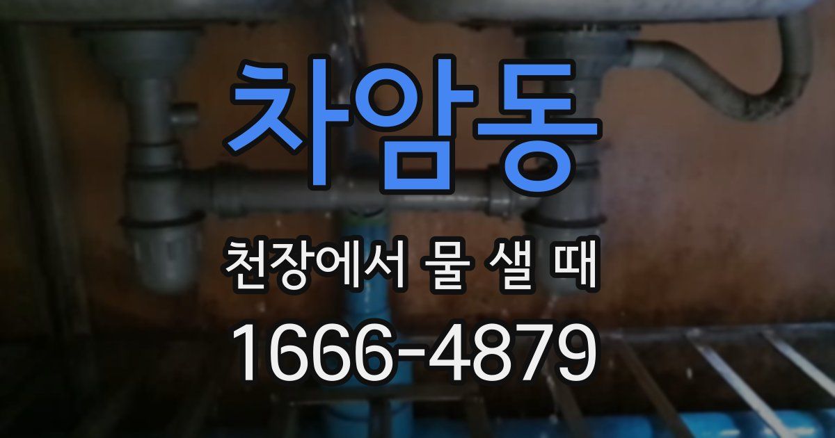 차암동 천장에서 물 샐 때