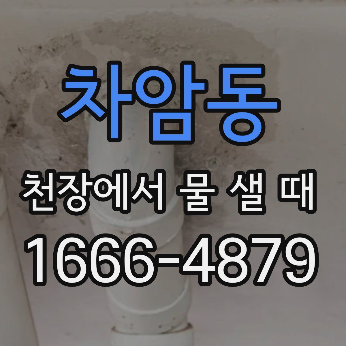 차암동 천장에서 물 샐 때