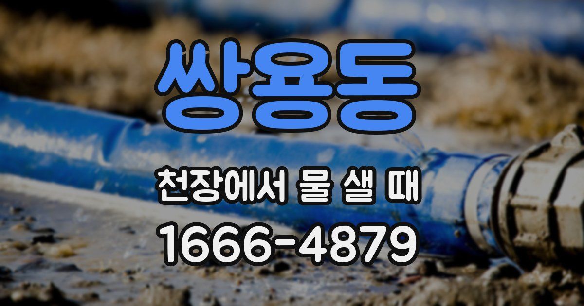 쌍용동 천장에서 물 샐 때
