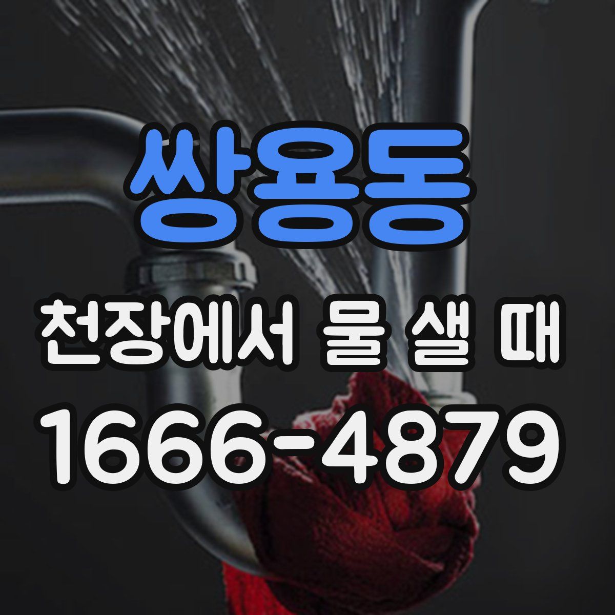 쌍용동 천장에서 물 샐 때