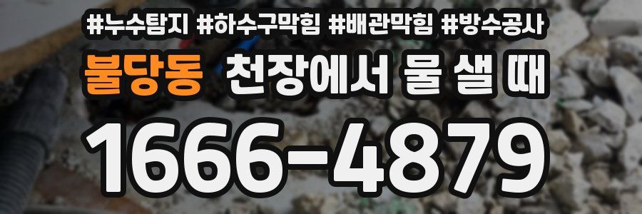 불당동 천장에서 물 샐 때