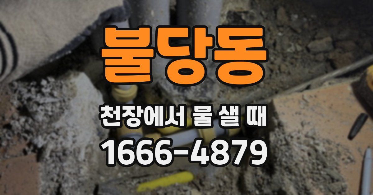 불당동 천장에서 물 샐 때