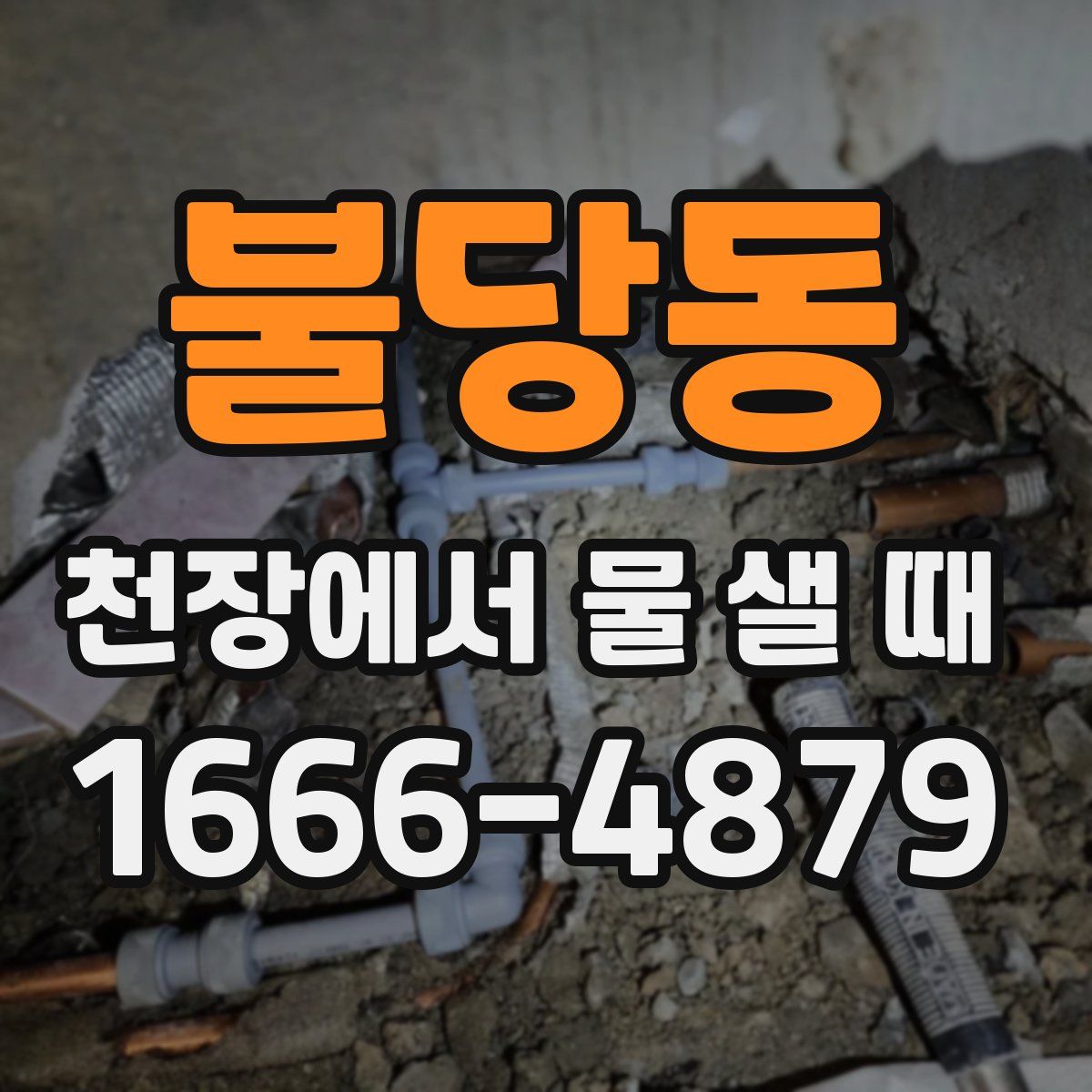 불당동 천장에서 물 샐 때