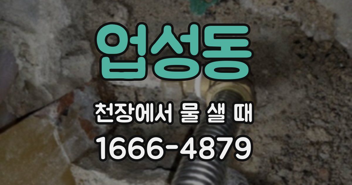 업성동 천장에서 물 샐 때