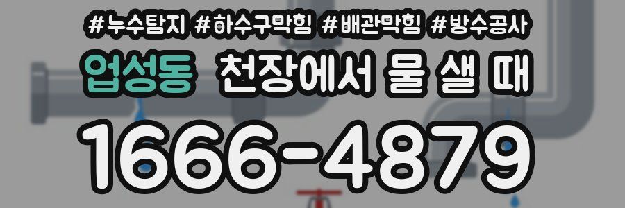 업성동 천장에서 물 샐 때