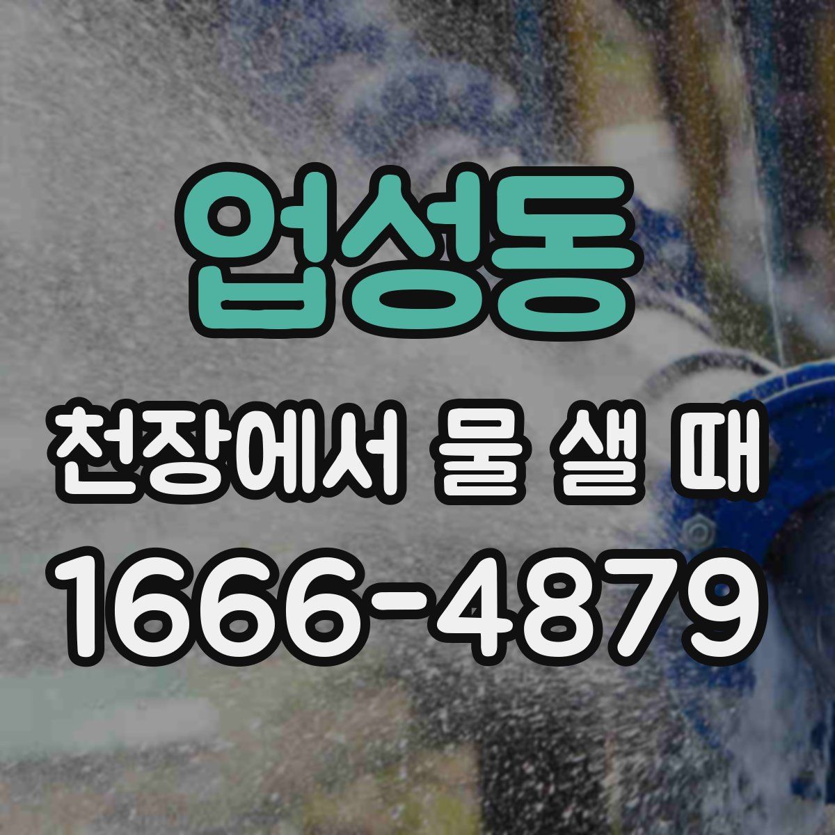 업성동 천장에서 물 샐 때