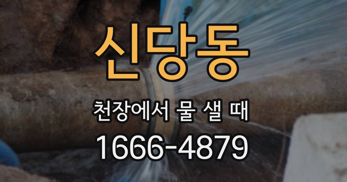 신당동 천장에서 물 샐 때