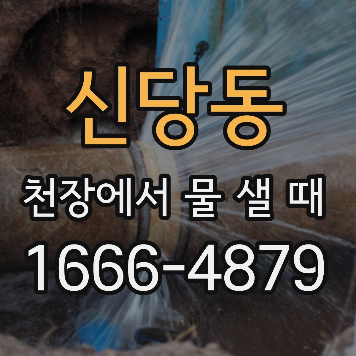 신당동 천장에서 물 샐 때