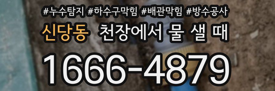 신당동 천장에서 물 샐 때