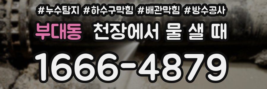 부대동 천장에서 물 샐 때