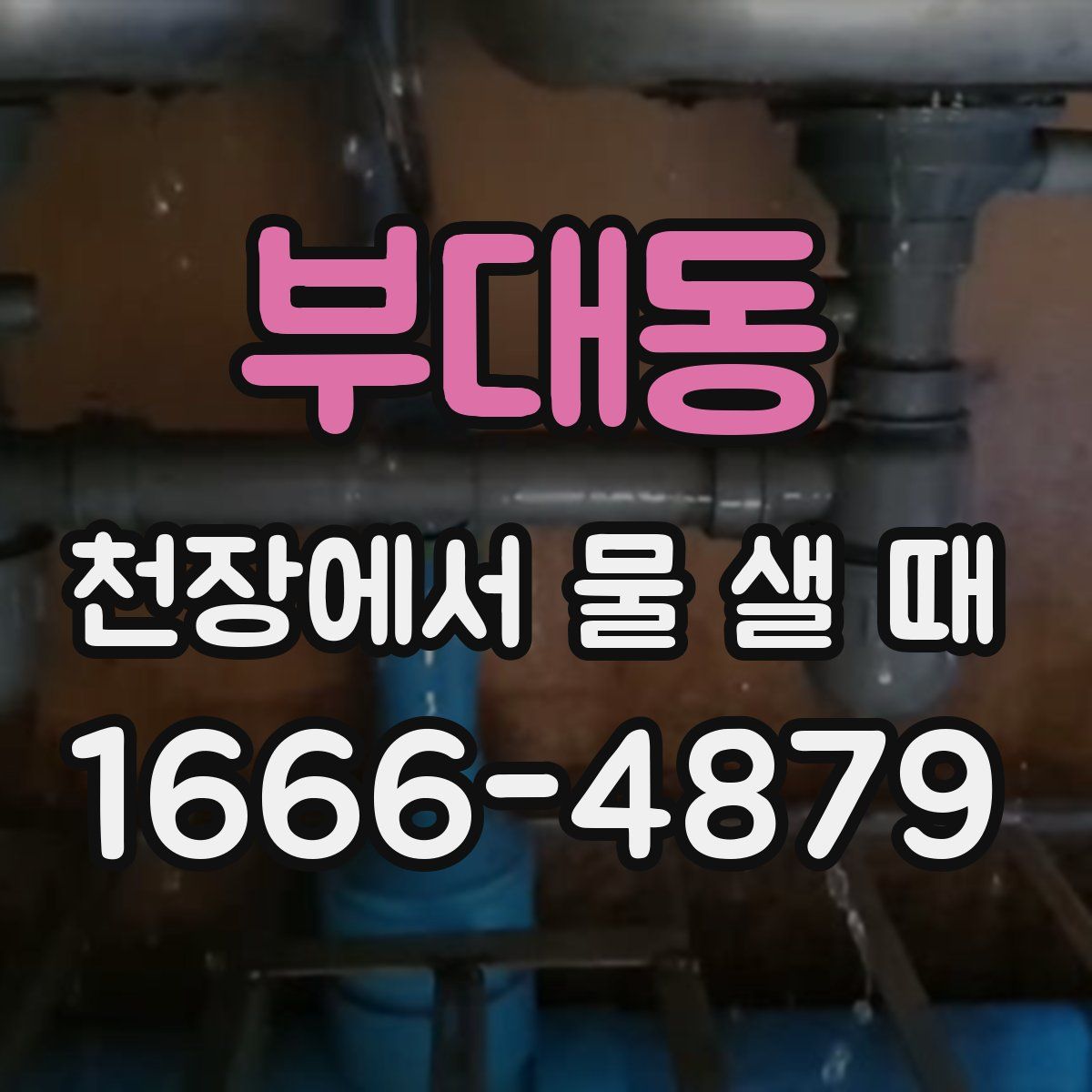 부대동 천장에서 물 샐 때