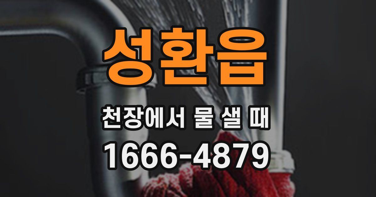 성환읍 천장에서 물 샐 때