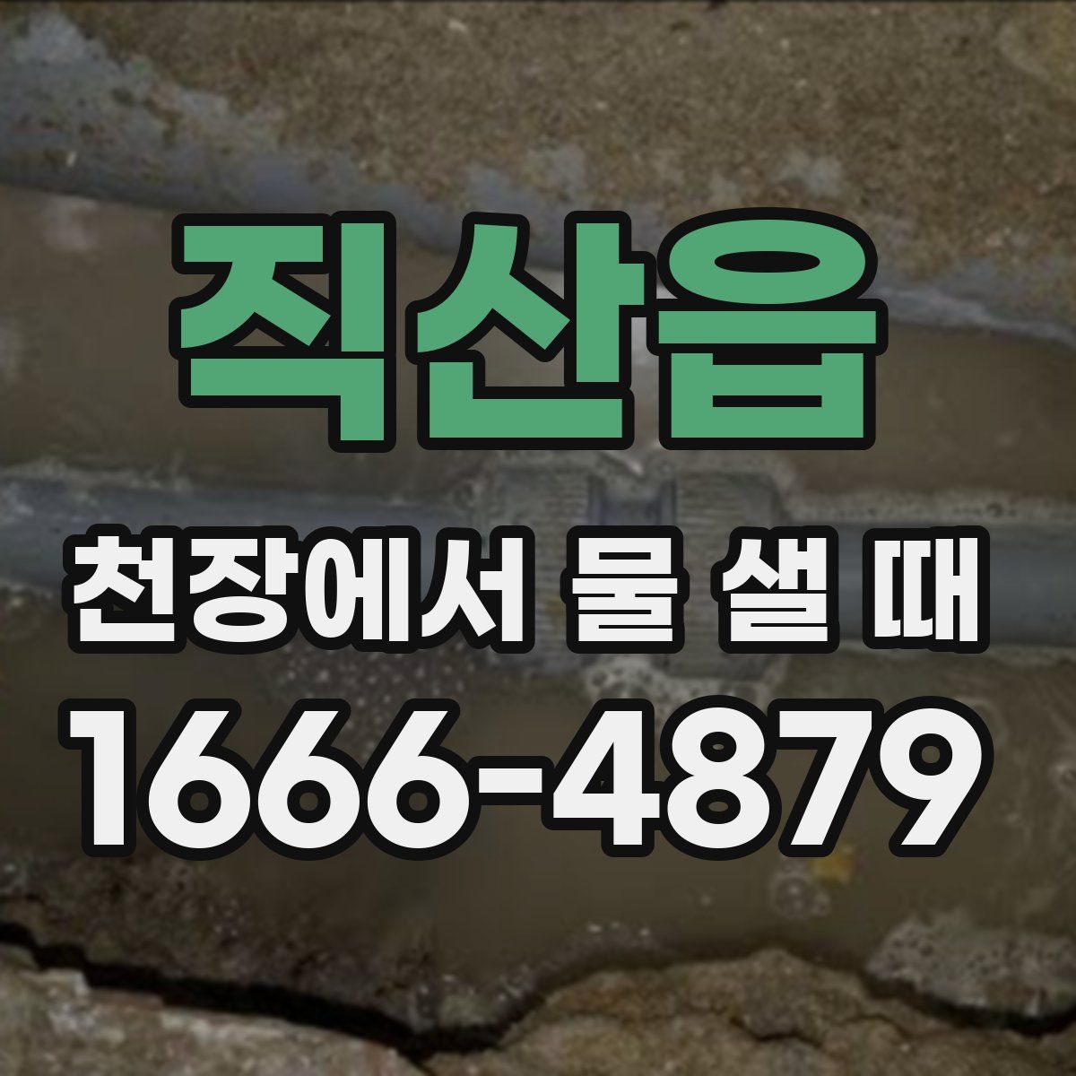 직산읍 천장에서 물 샐 때