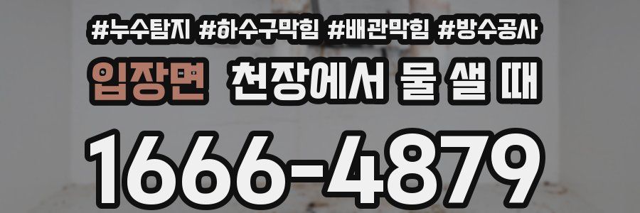 입장면 천장에서 물 샐 때