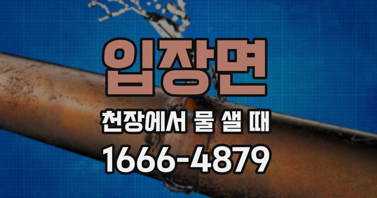 입장면 천장에서 물 샐 때