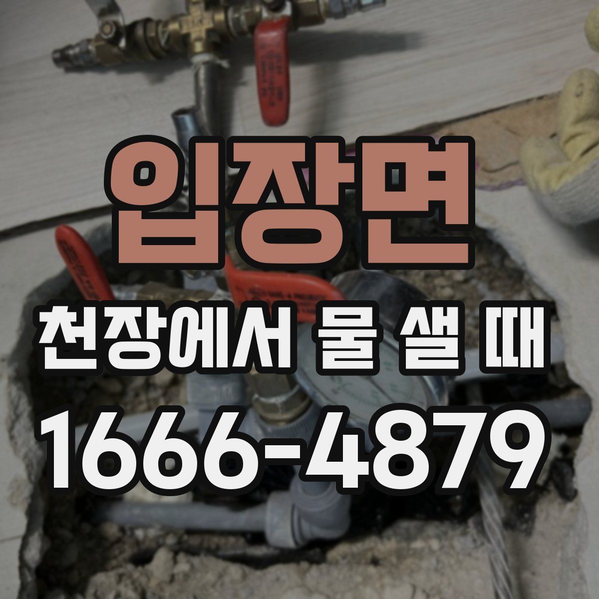 입장면 천장에서 물 샐 때