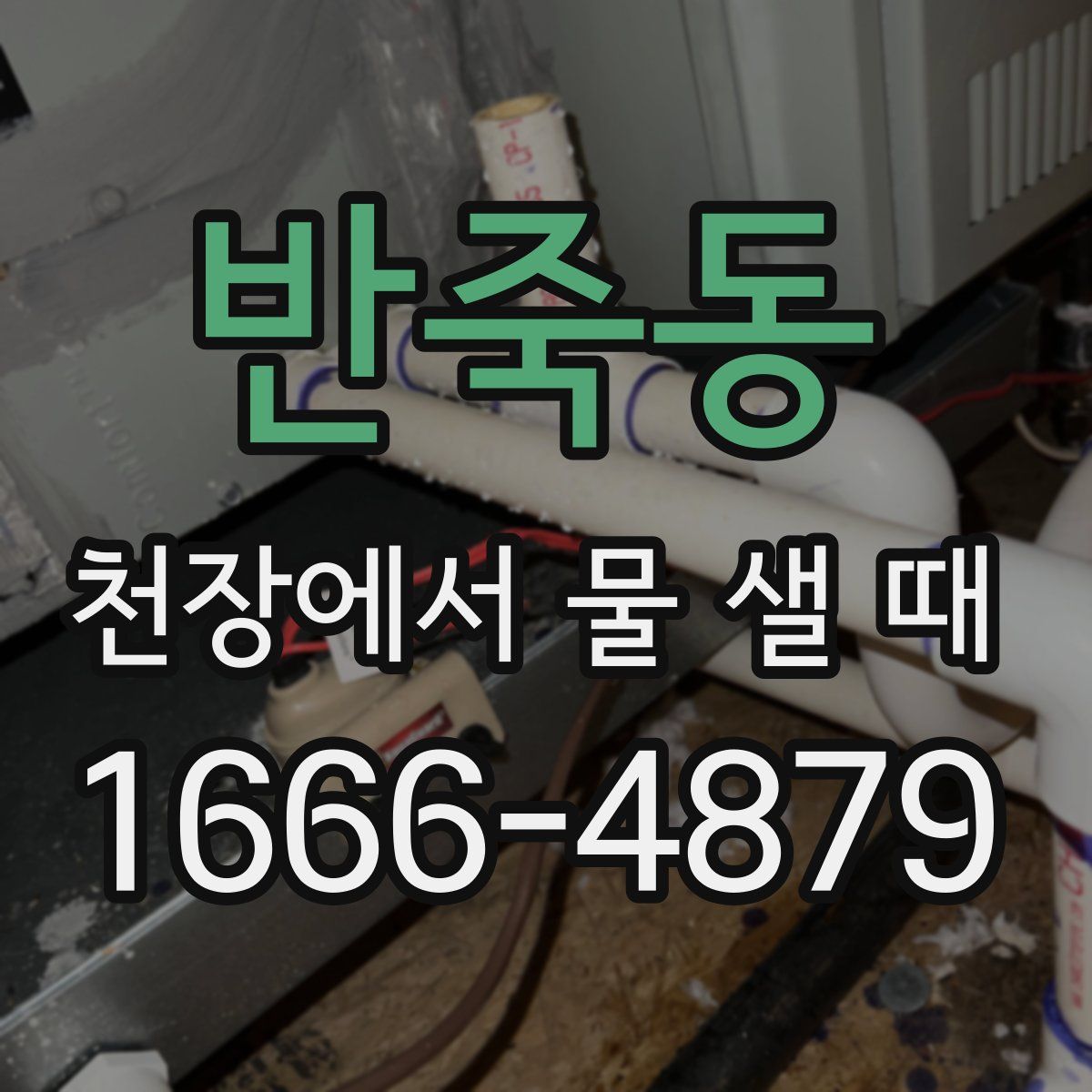 반죽동 천장에서 물 샐 때