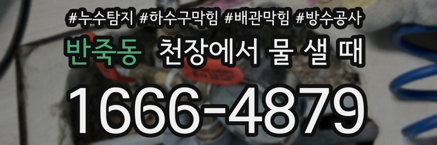 반죽동 천장에서 물 샐 때